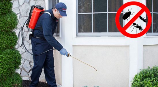 Yozgat Dezenfeksiyon böcek ilaçlama ve haşere kontrolü — ilaclama-tr.com